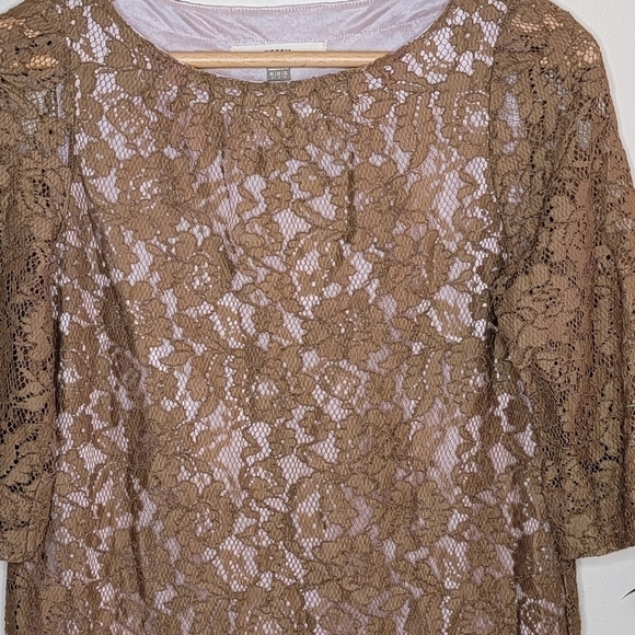 Fossil | Dark Tan Lace Sheath Dress - Picture 5 of 5